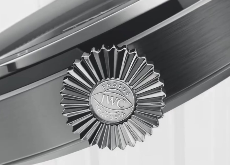 205595952 537014281001362 6486289239312227895 n